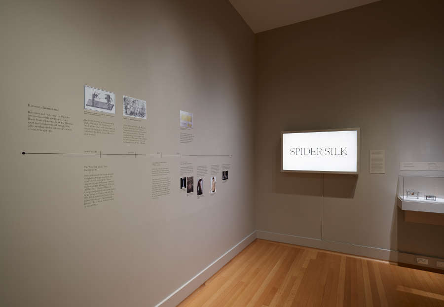 view exhibition image