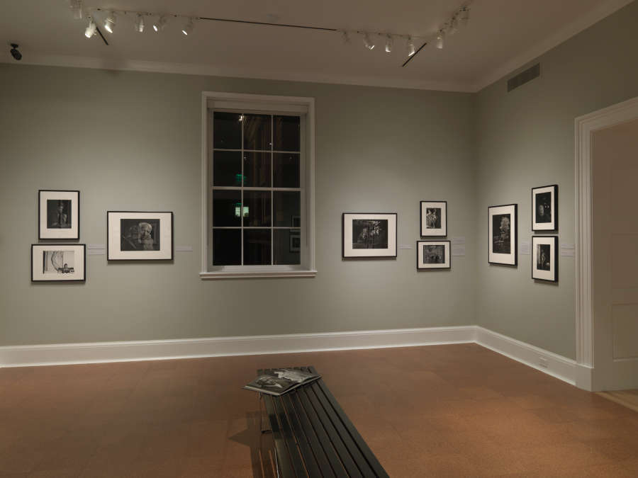 view exhibition image