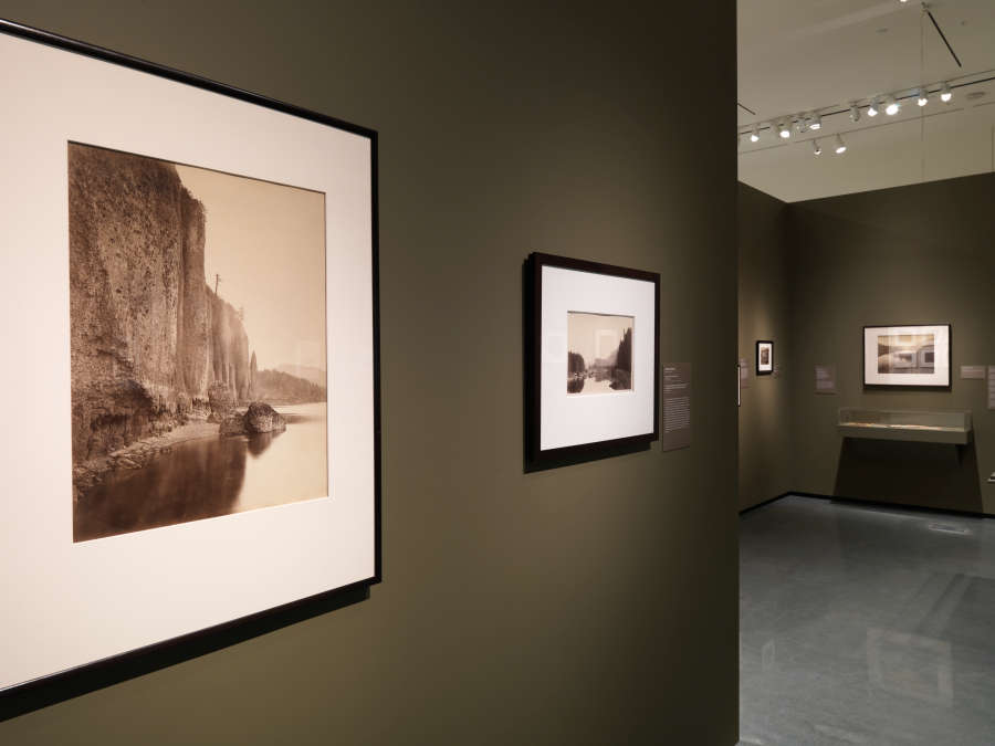 view exhibition image