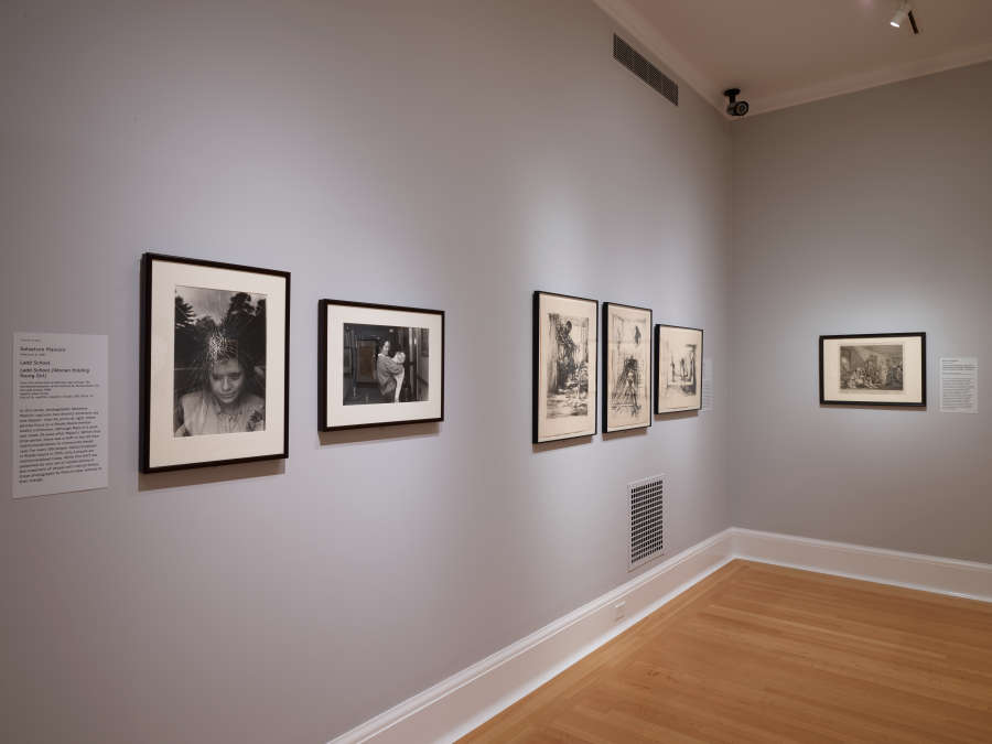 view exhibition image