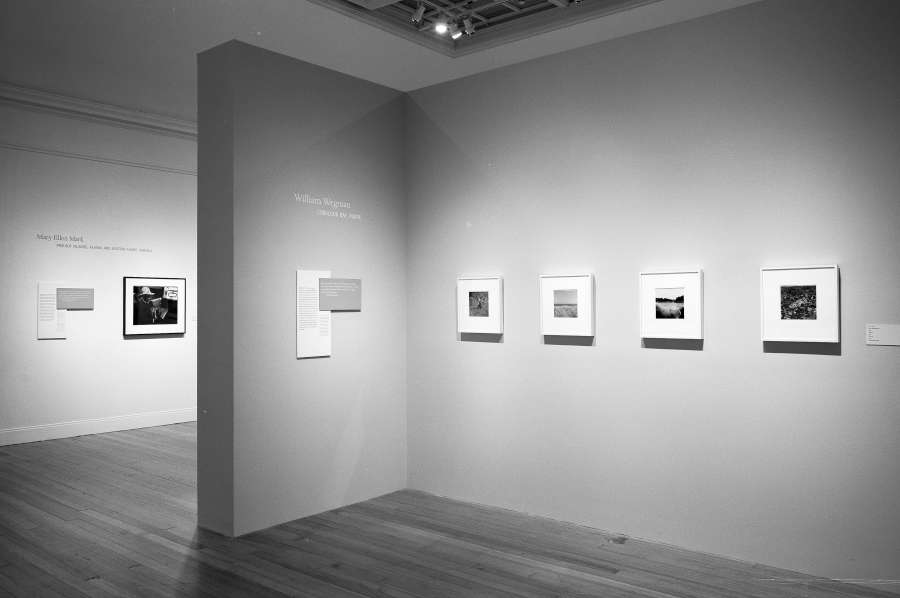 view exhibition image