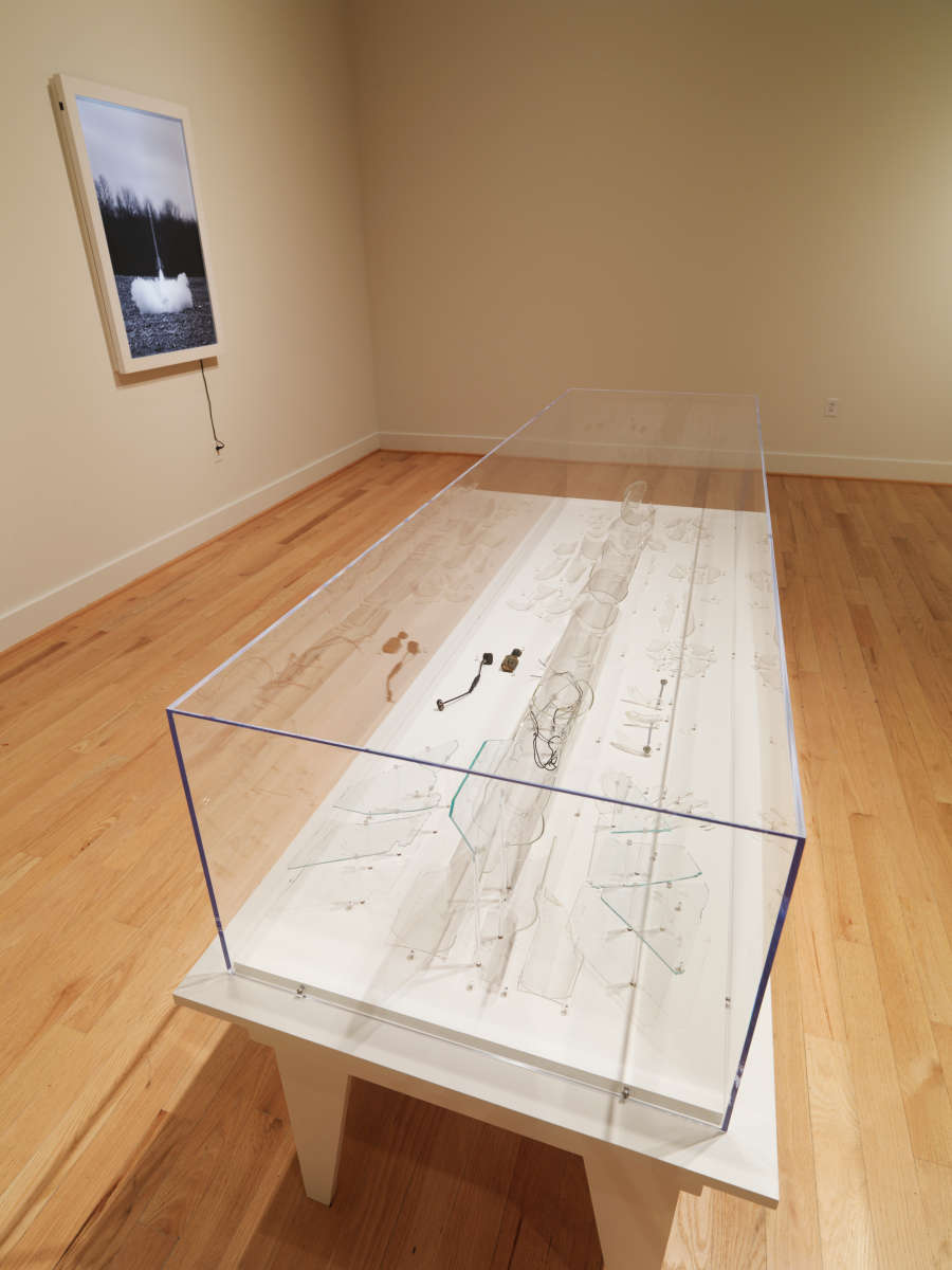 view exhibition image