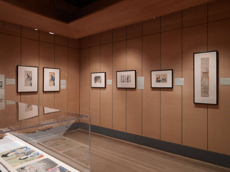view exhibition image