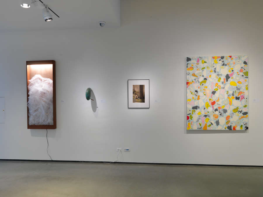 view exhibition image