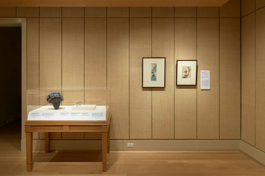 view exhibition image