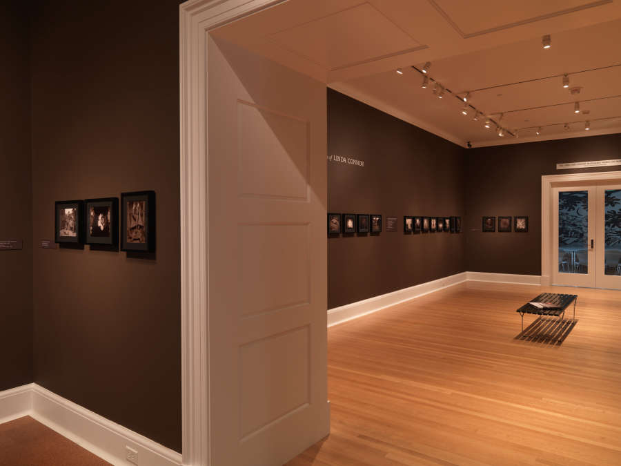 view exhibition image