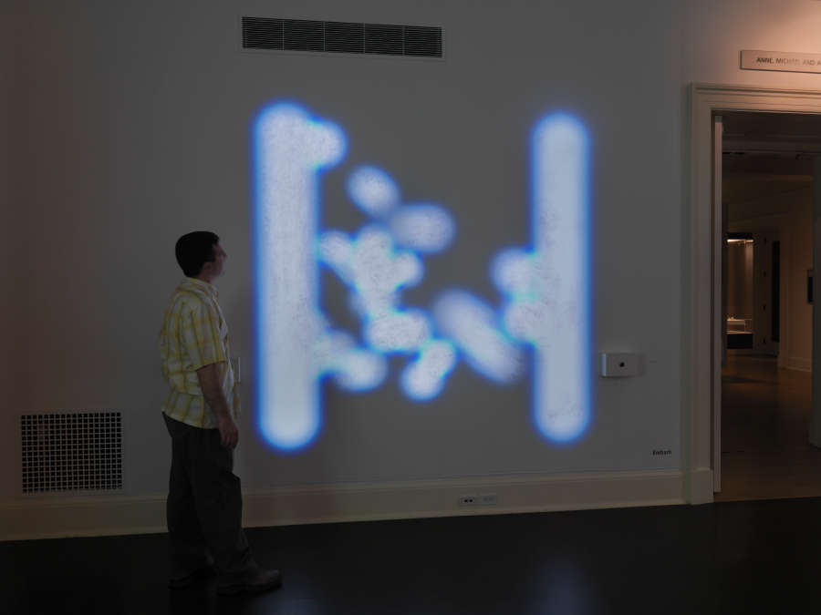 view exhibition image