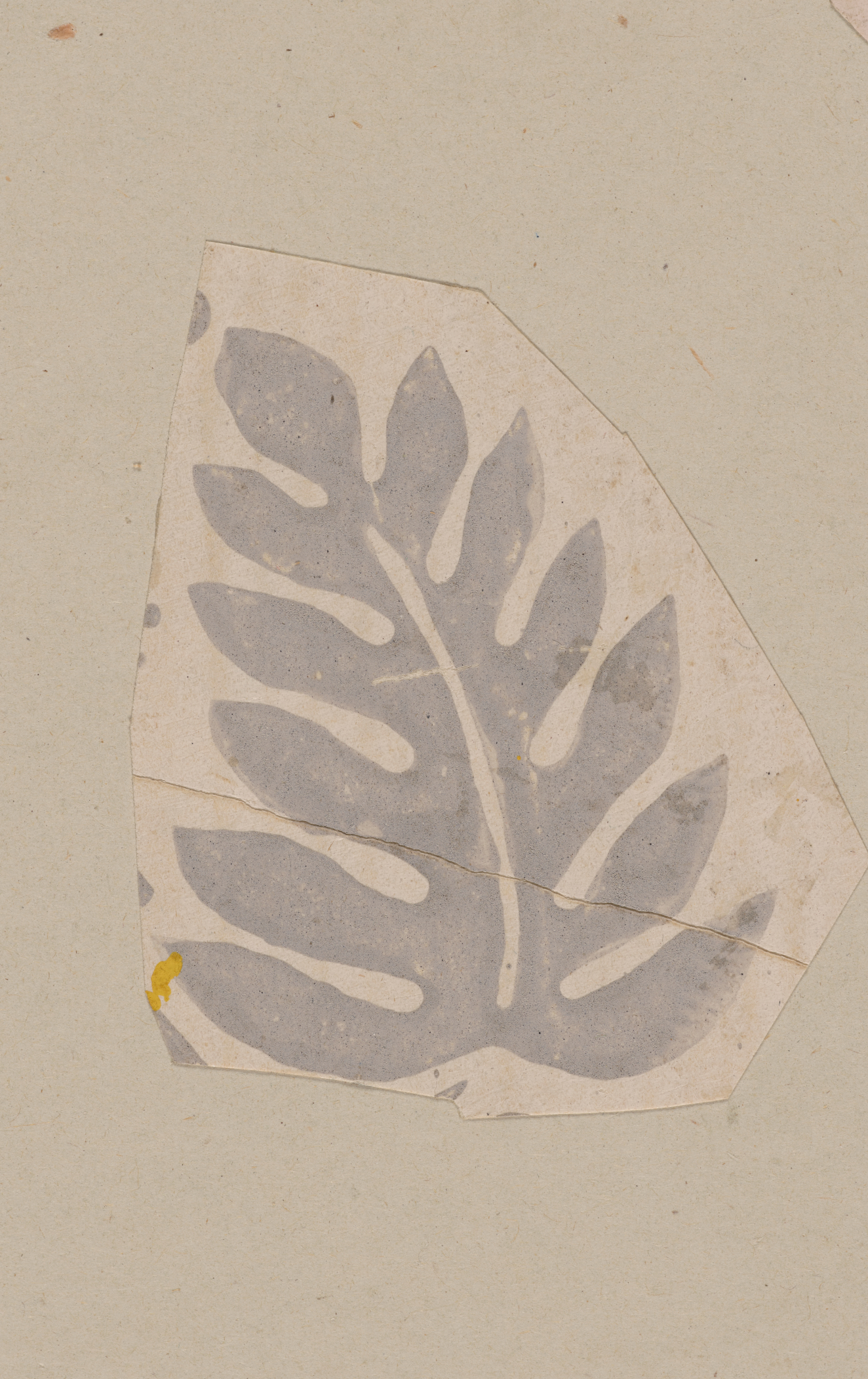 Stylized decorative motif cutout on a neutral background featuring a silver leaf curving to the left.