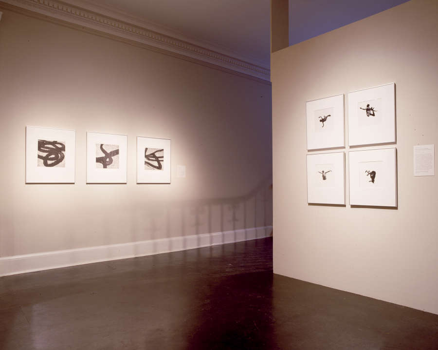 view exhibition image