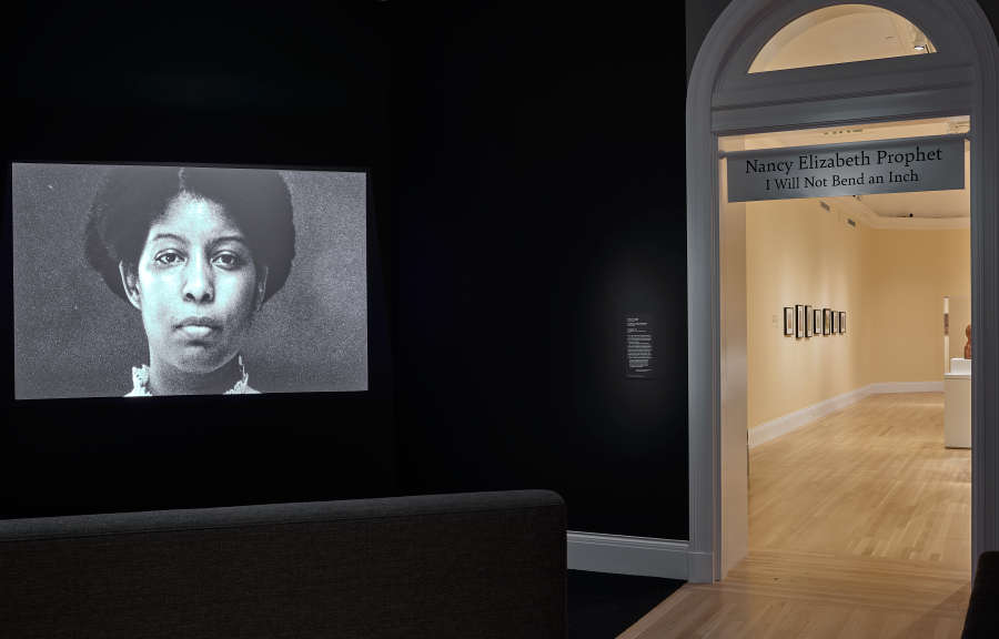 view exhibition image