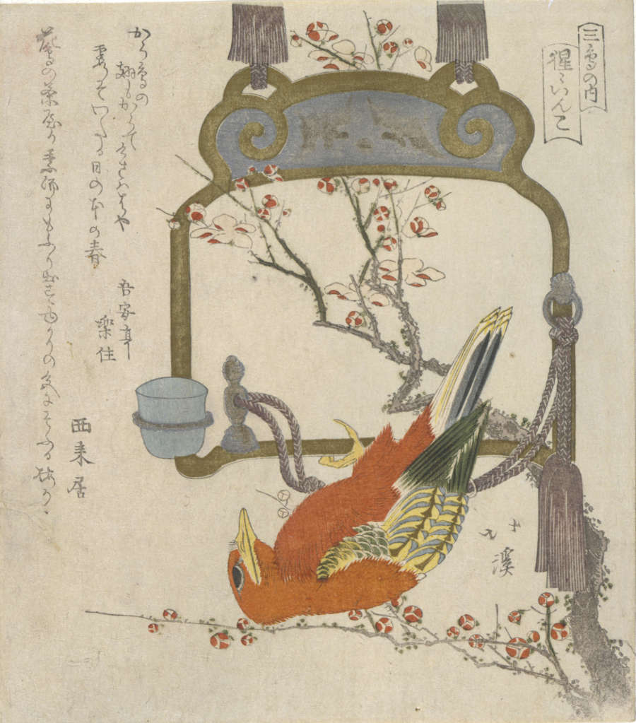 A red bird perched upside-down on a hanging decorative frame with red tassels and metal fixtures before a branch of blooming plum blossoms.