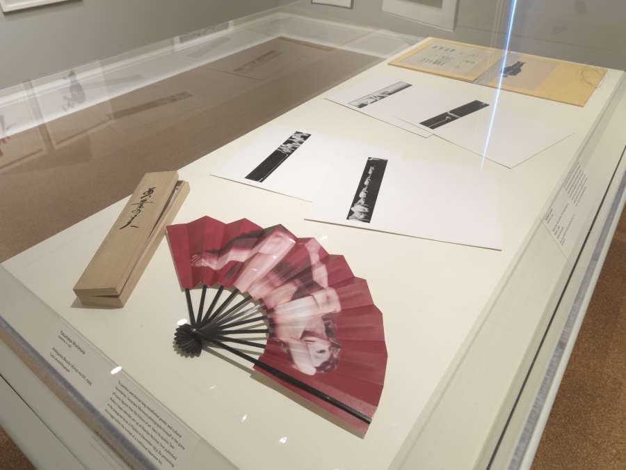 view exhibition image