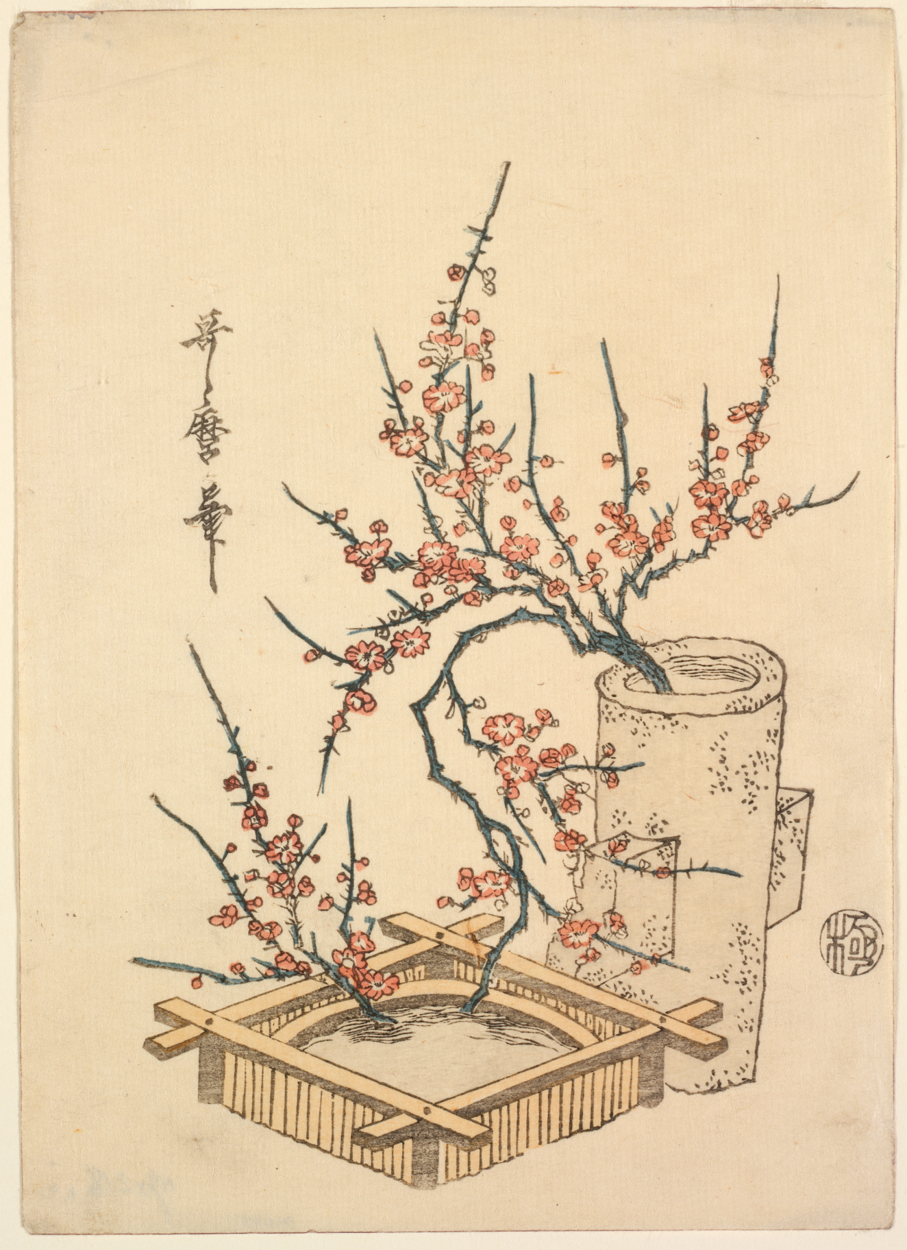 Two adult cranes standing on a grassy mound by a small, young pine tree, accompanied by three chicks clustered at their feet.