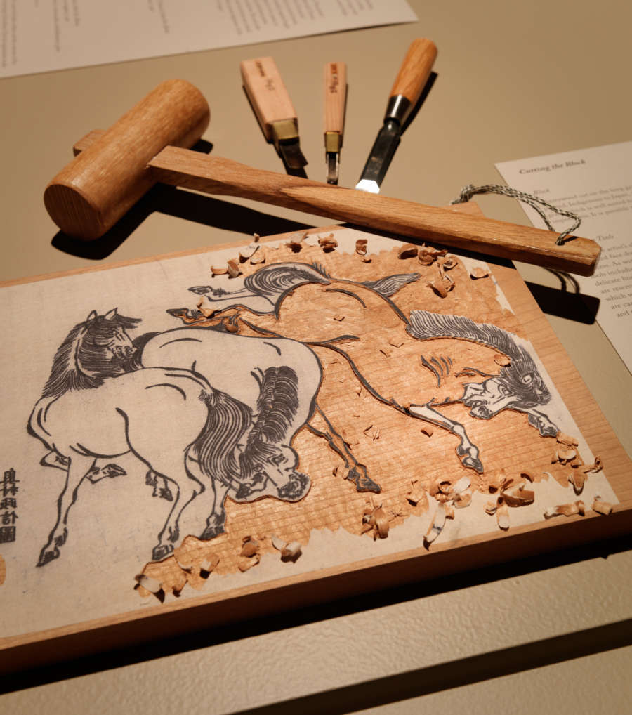 view exhibition image