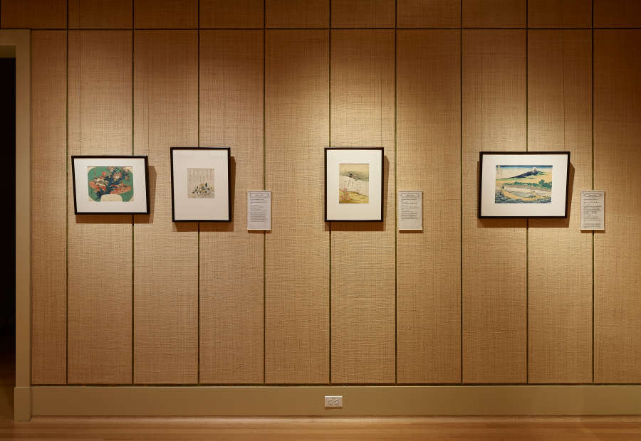 view exhibition image