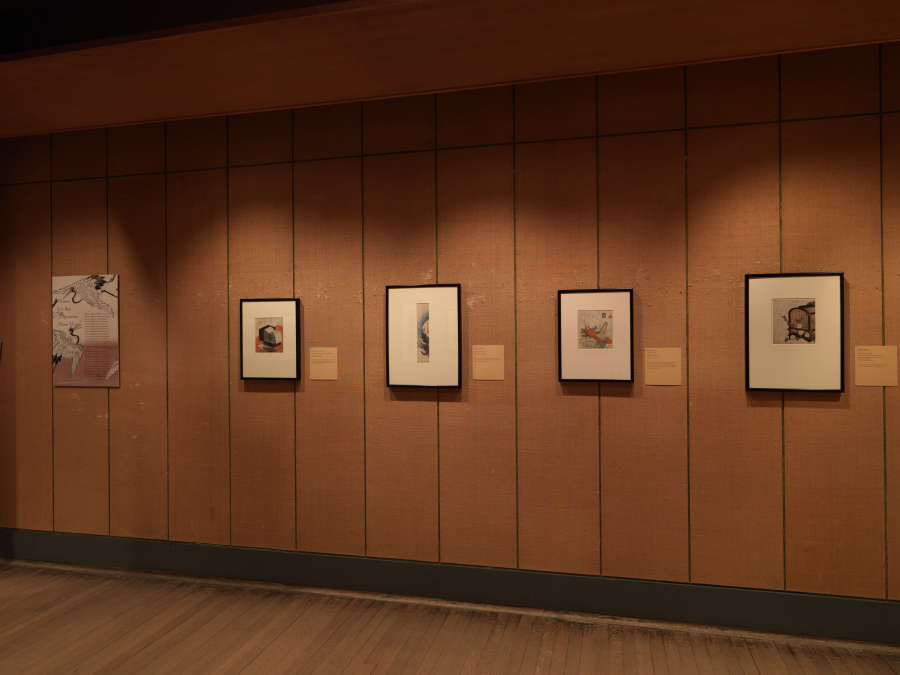 view exhibition image