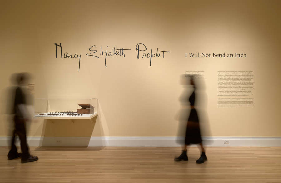 view exhibition image