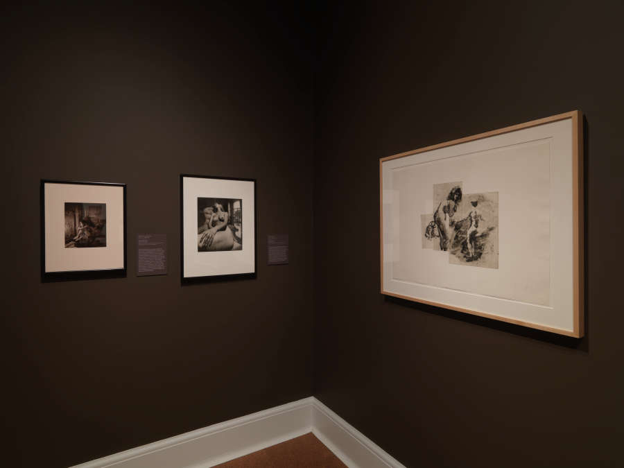 view exhibition image