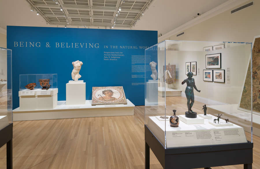view exhibition image