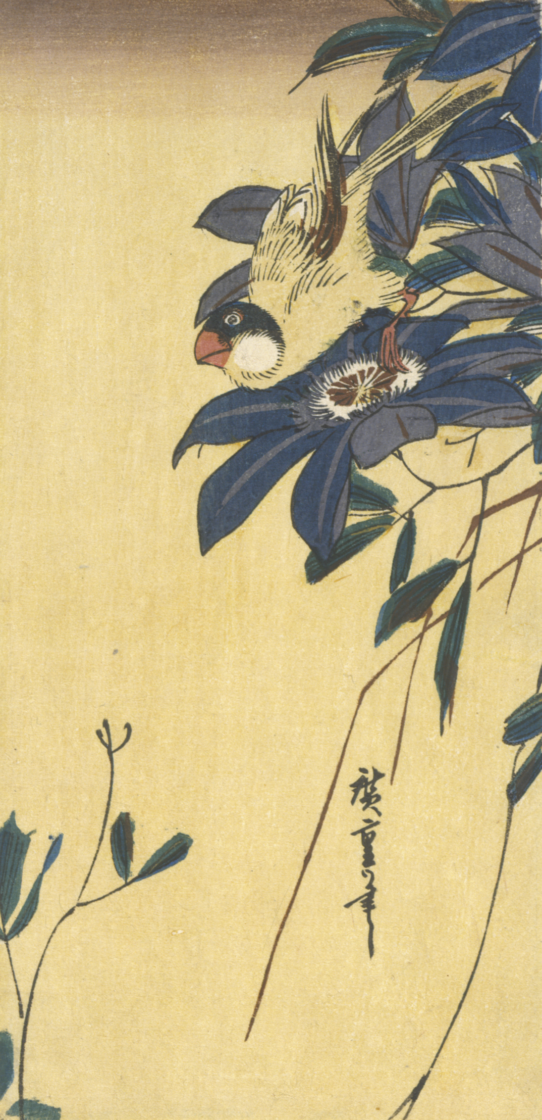 In the upper left, a small bird perches among purple flowers against a yellow background.