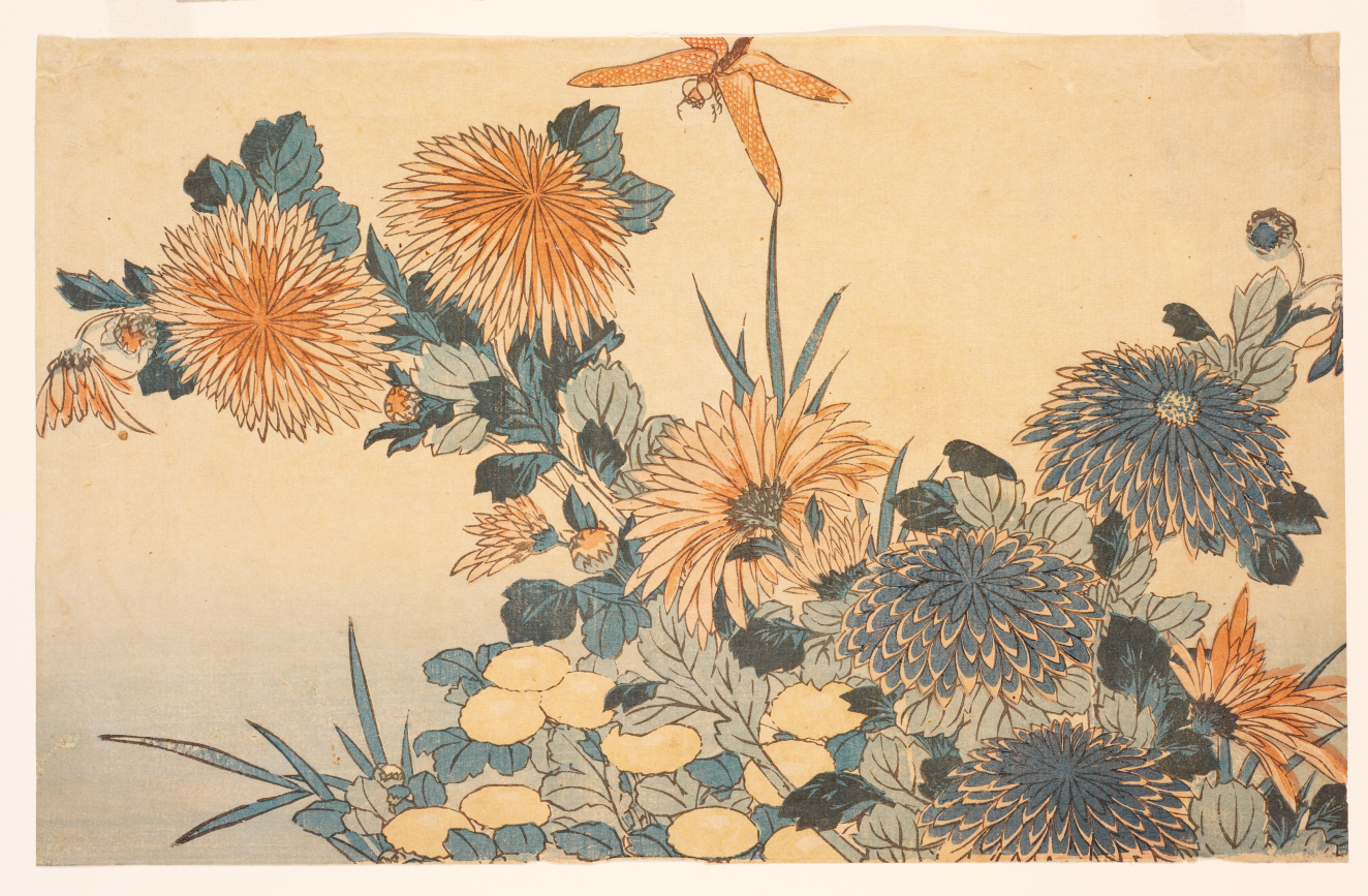 Golden, orange, and blue chrysanthemums in varied stages of bloom accented by an assortment of foliage with a dragonfly lingering overhead, set against a faded beige-to-blue background.