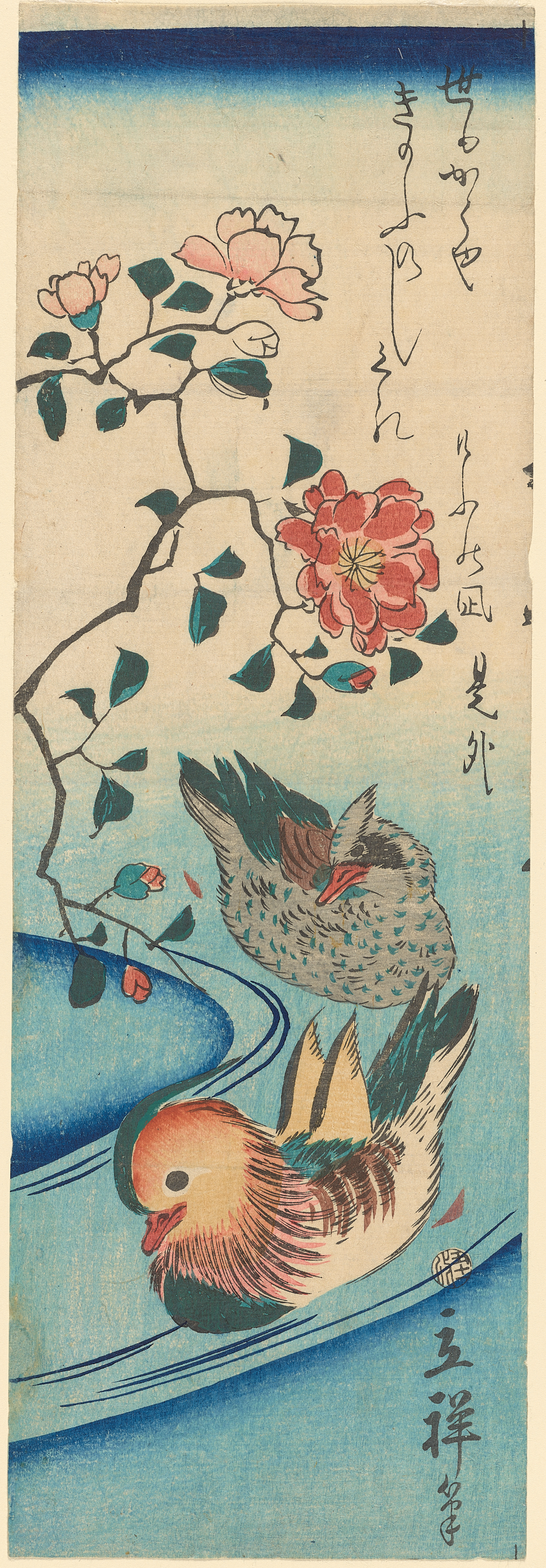A pair of ducks, one orange and the other gray swim on a winding stream with dark blue ripples beneath a flowering branch with red and white flowers.