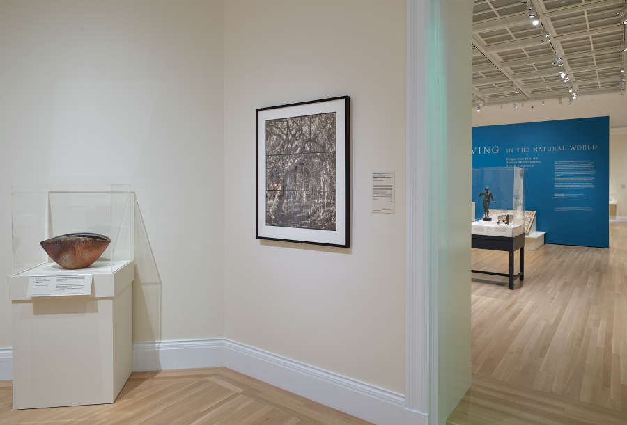 view exhibition image