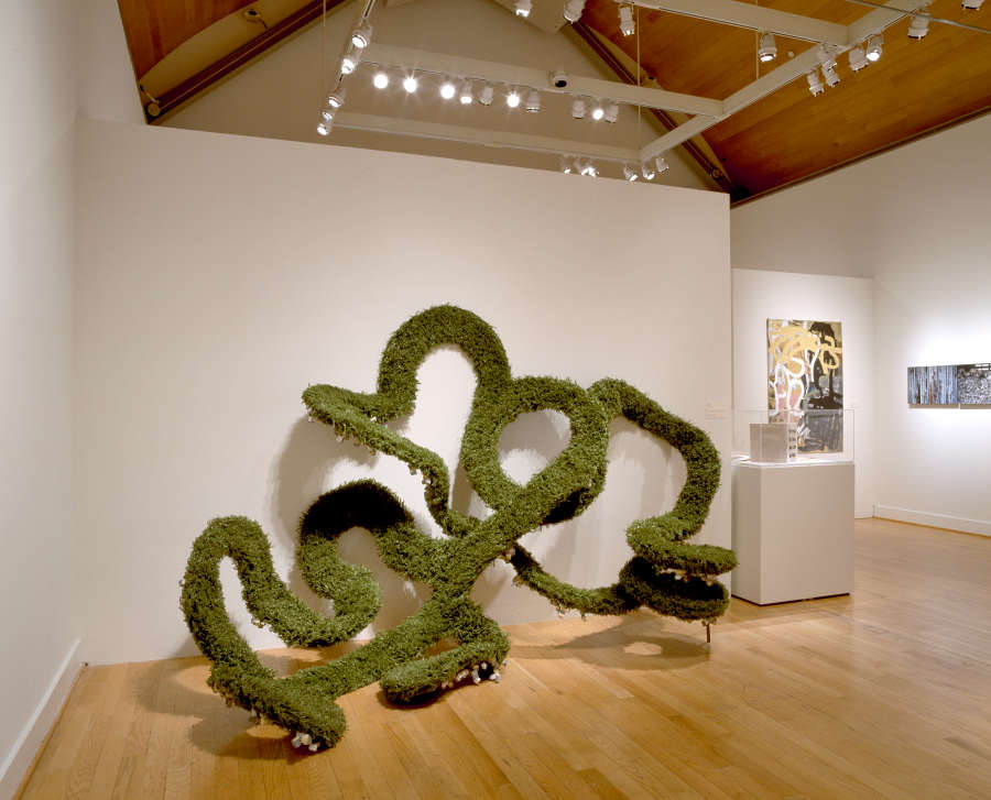 view exhibition image