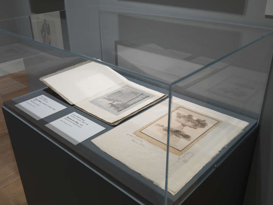 view exhibition image