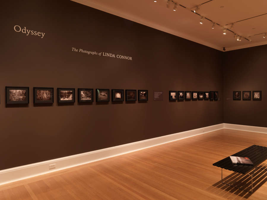 view exhibition image