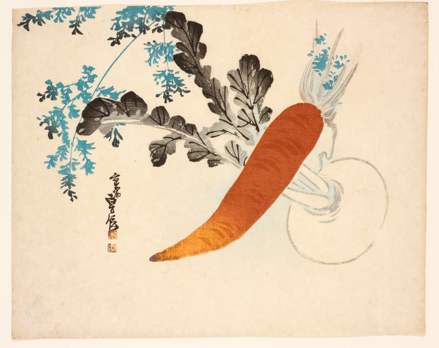 Woodblock print of a turnip top with gradient black leaves behind a bold and vivid orange carrot. Sparse and feathery blue leaves serve as a backdrop for the vegetables.