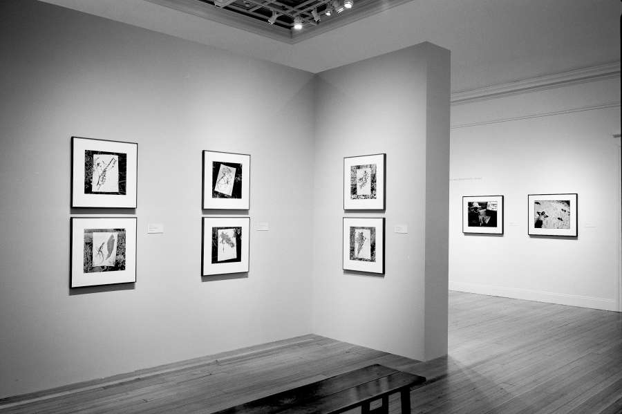 view exhibition image