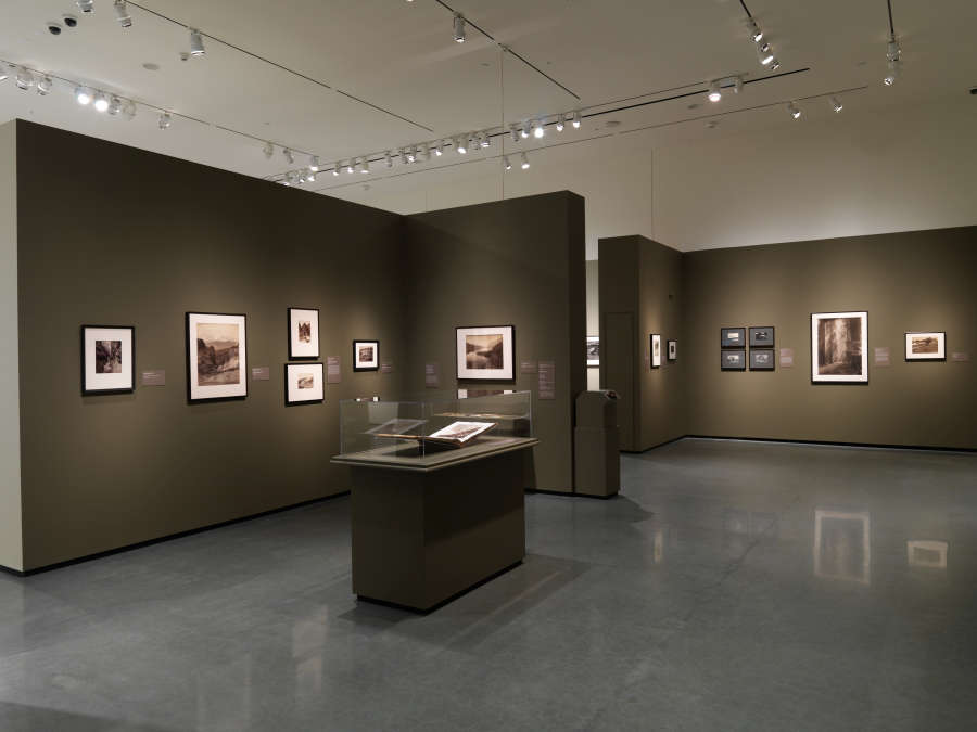 view exhibition image