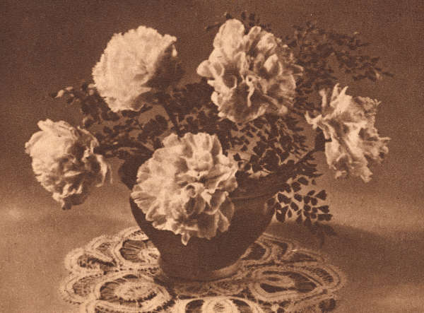 A black and white image of a bouquet of five flowers in a short vase, placed on a lace mat.