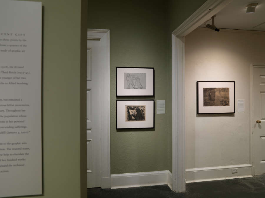 view exhibition image