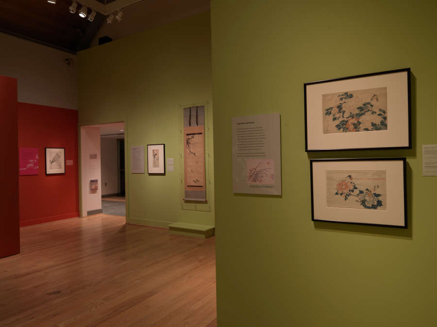 view exhibition image