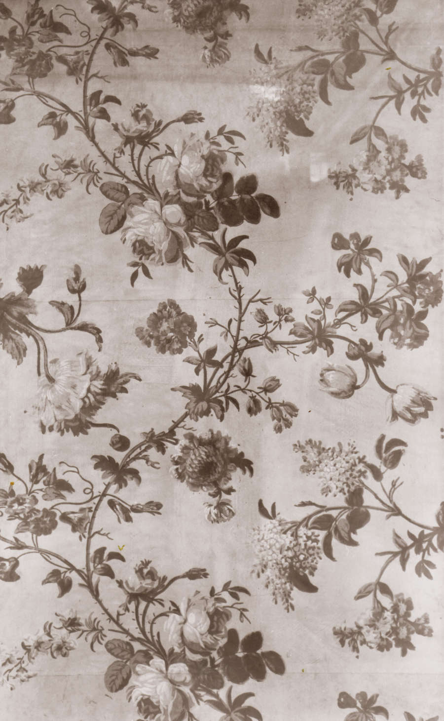 Aged, gray toned wallpaper of various stemmed flowers surrounding a central winding flower branch with leaves and flowers of different species in bloom throughout.