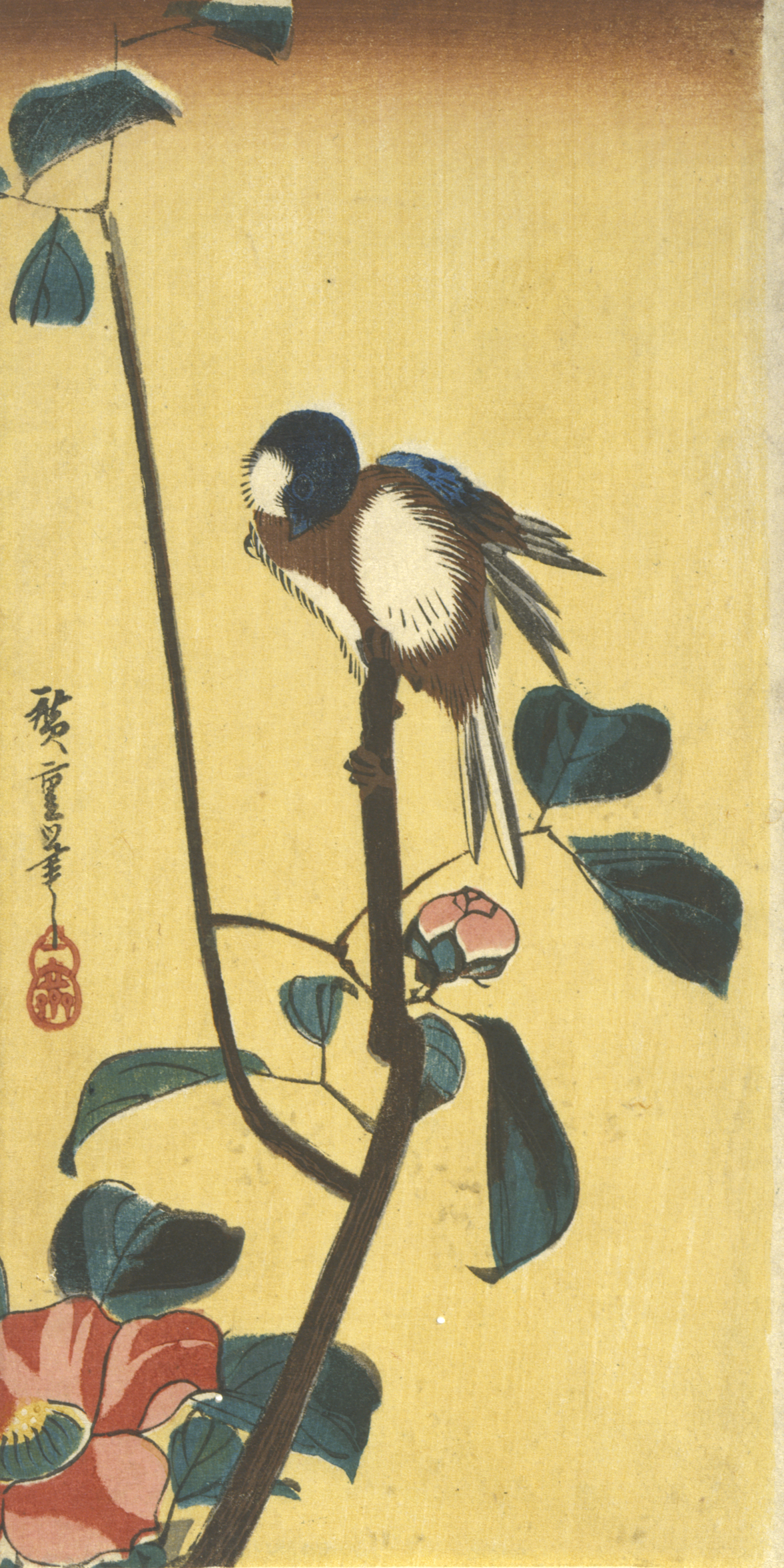 A small brown and white bird perched on a singular branch above dark green leaves and red flowers contrasted against a yellow sky.