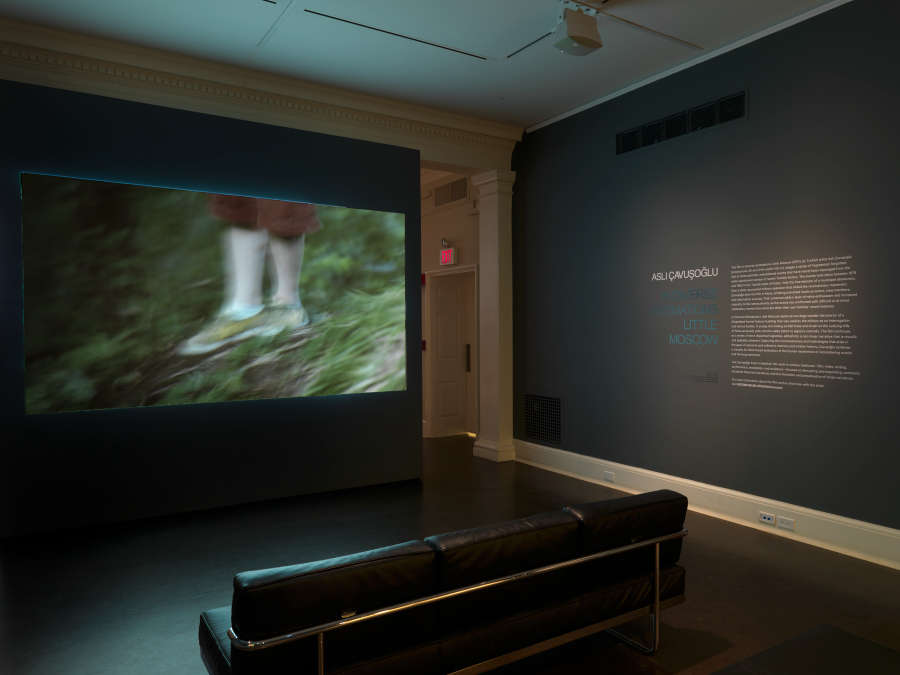 view exhibition image