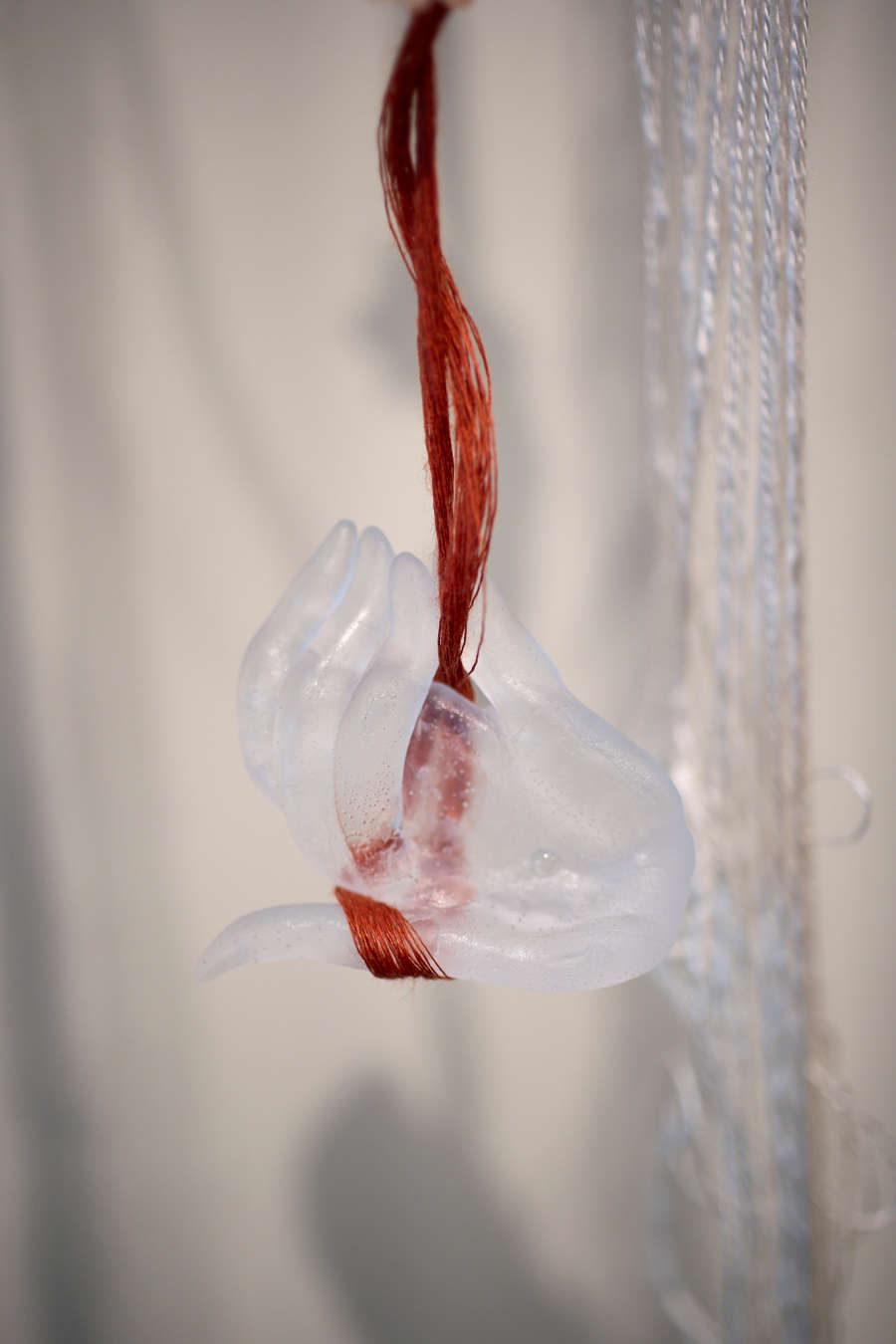 view exhibition image