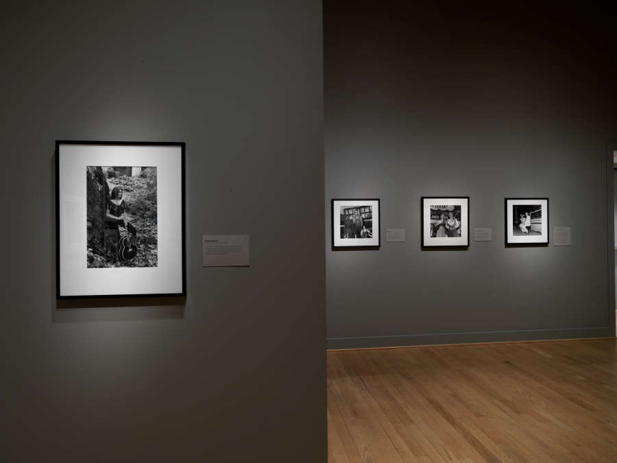 view exhibition image