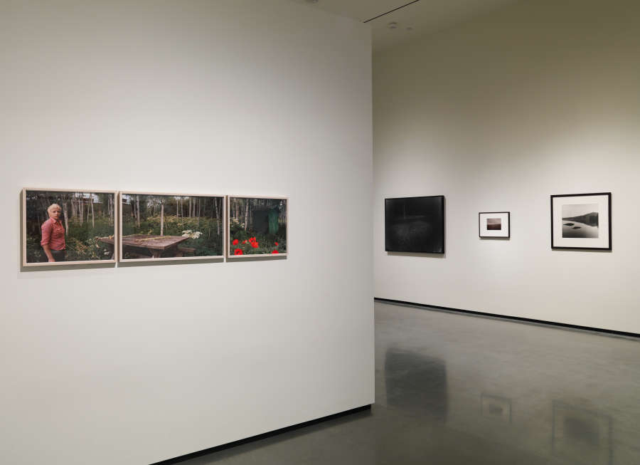 view exhibition image