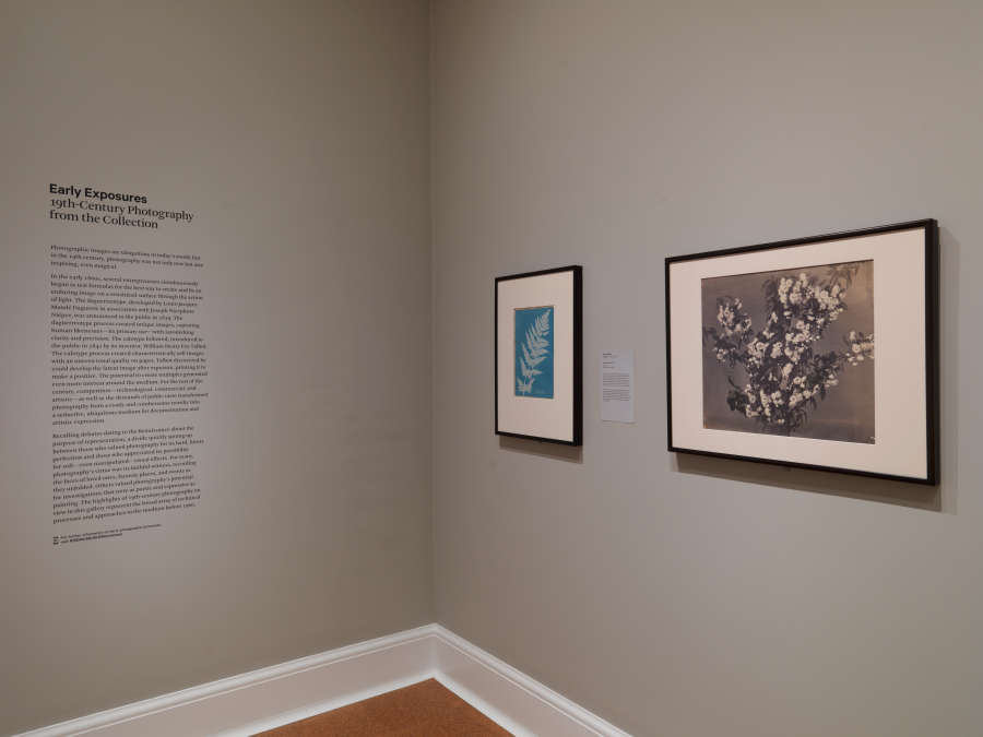 view exhibition image