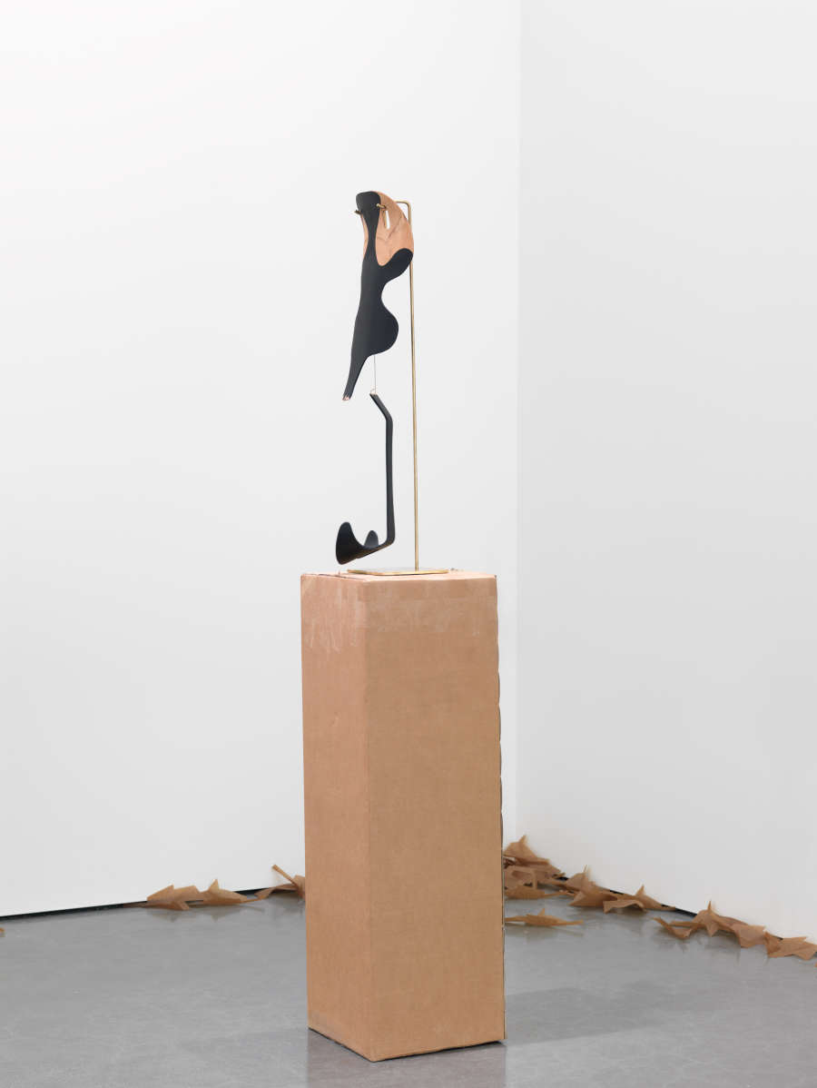 view exhibition image