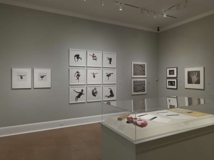 view exhibition image