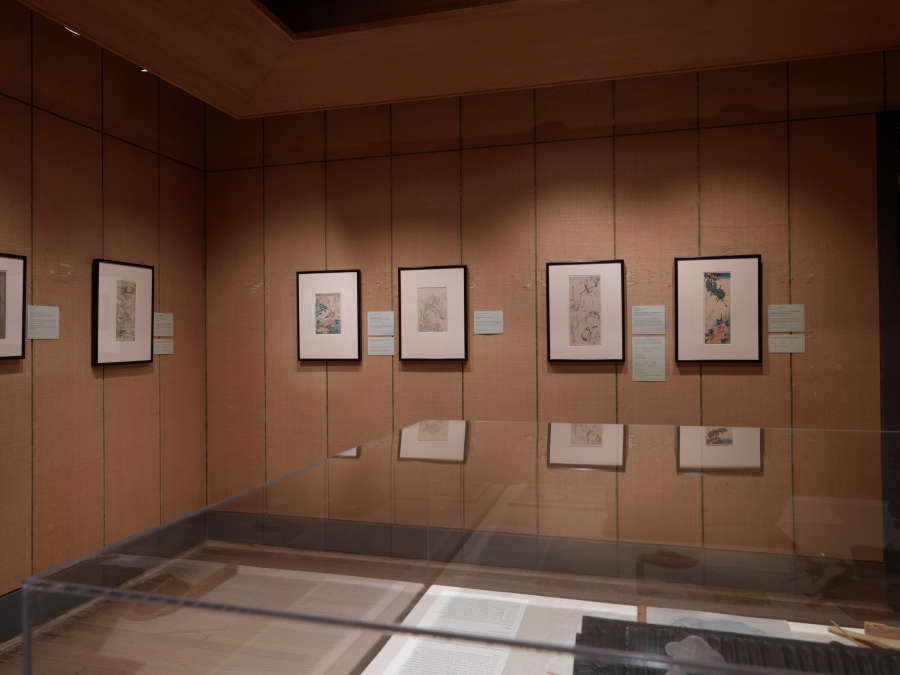 view exhibition image