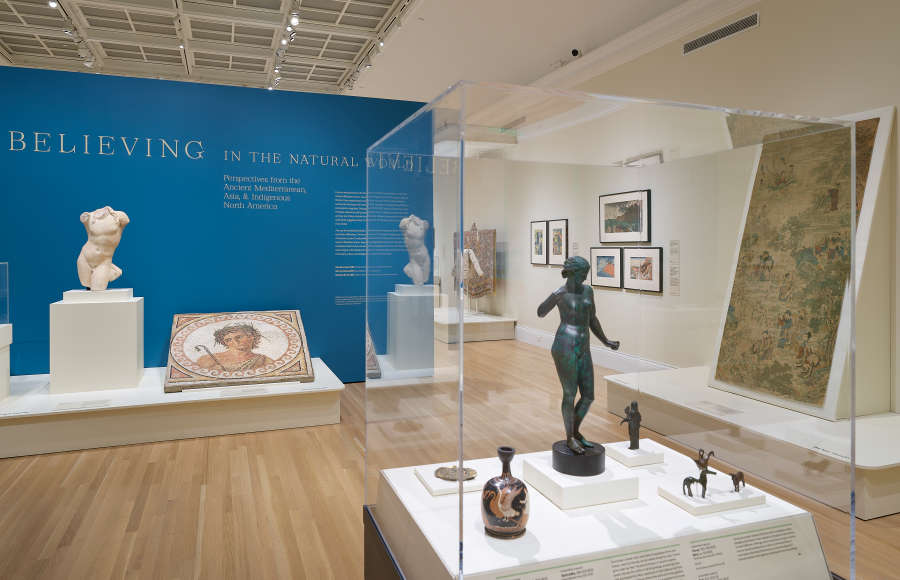 view exhibition image