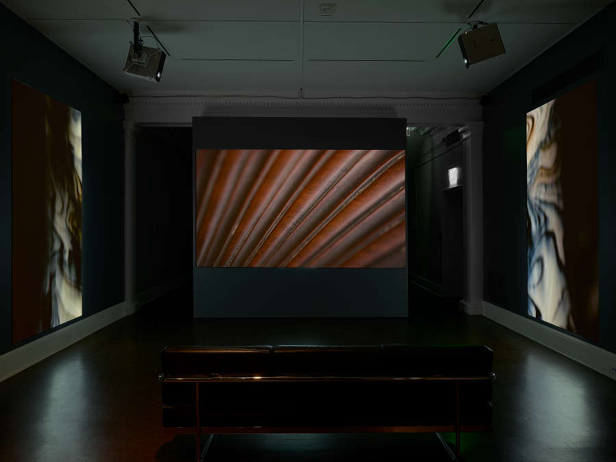 view exhibition image