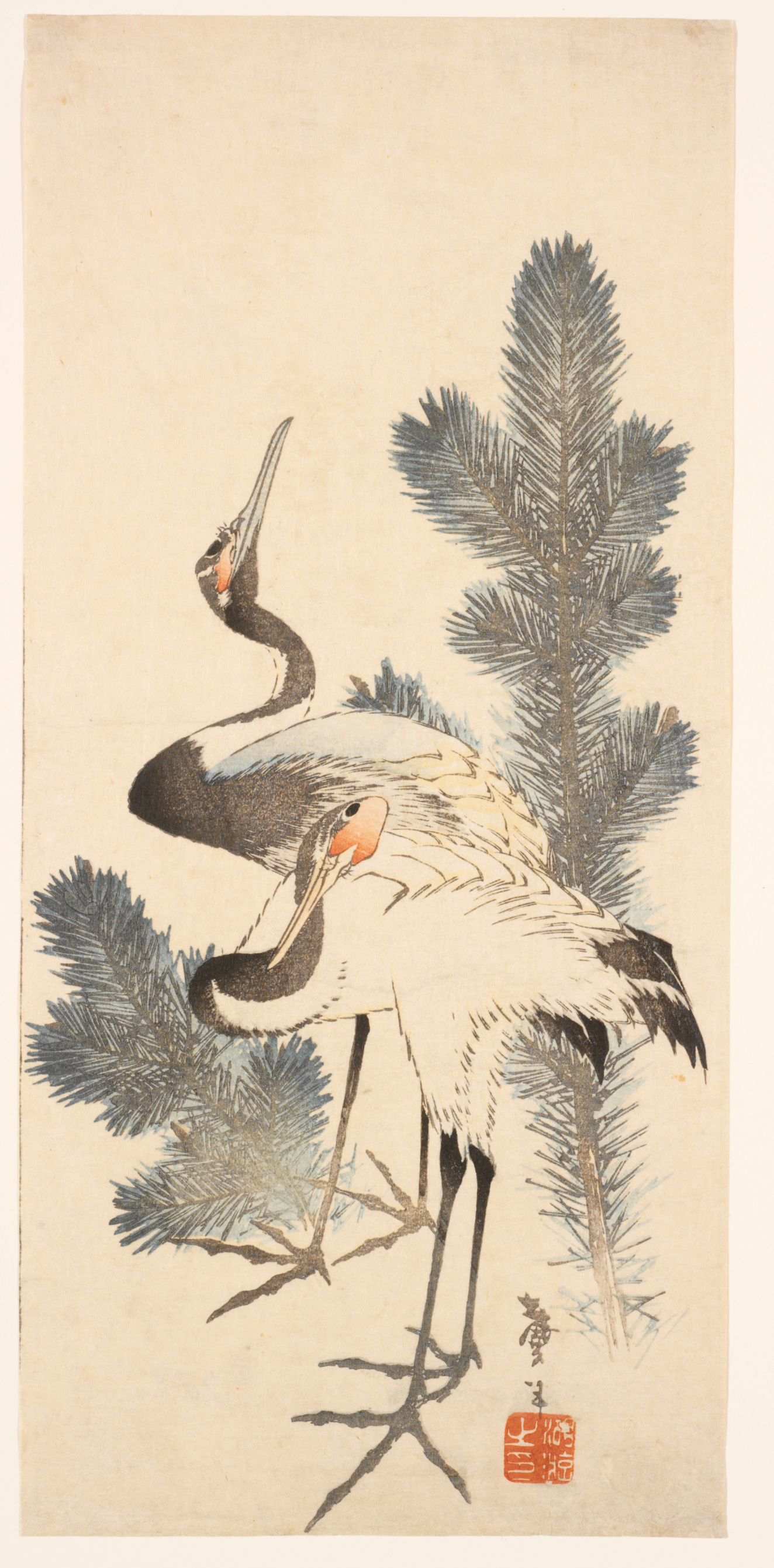 A pair of red-crowned cranes with black-tipped wings. One preens its feathers while the other looks skywards, standing among pine branches against a pale cream background.