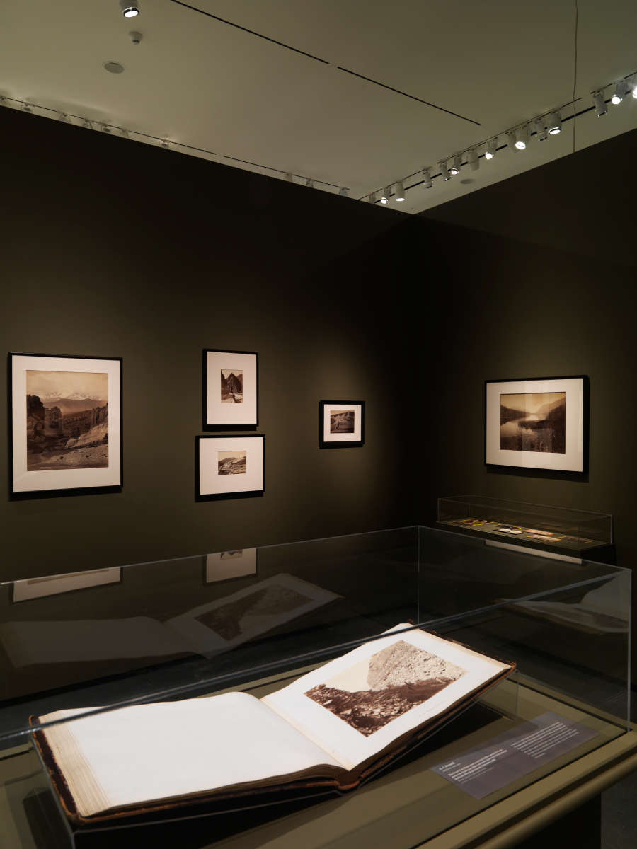 view exhibition image